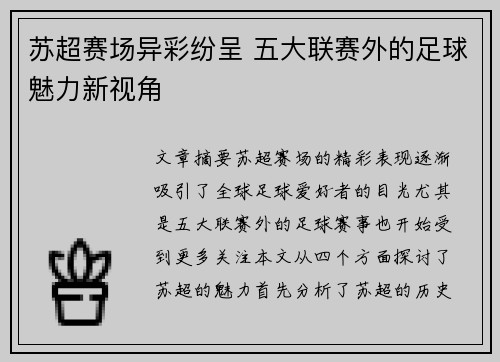 苏超赛场异彩纷呈 五大联赛外的足球魅力新视角